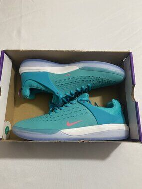 New Men’s Size 11 - Nike Zoom Nyjah 3 SB Dusty Cactus DV7896 302